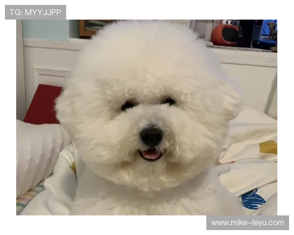 张琳芃家的狗都吃进口粮，他本人却顿顿水煮鸡胸肉