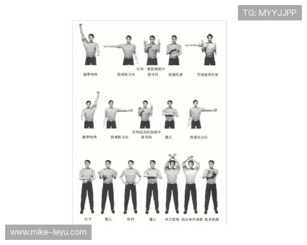 裁判手势在足球中代表的关键判罚及其规范解读